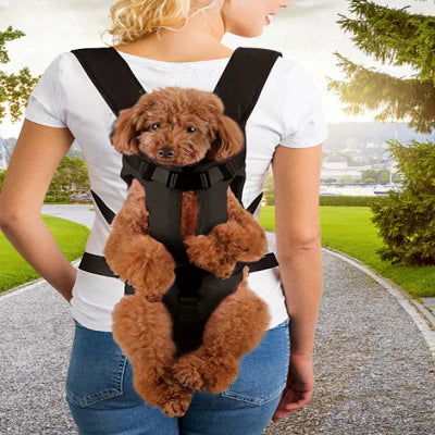 Sac à Dos pour Chien | AdventurSac