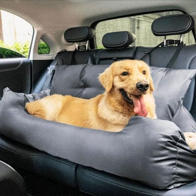 Siege Auto pour Chien - Gris