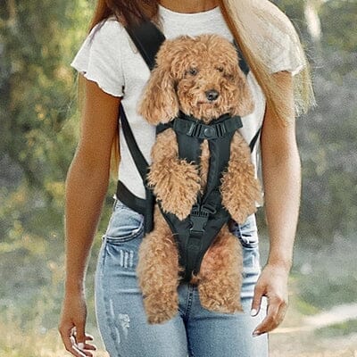 Sac à Dos pour Chien | AdventurSac