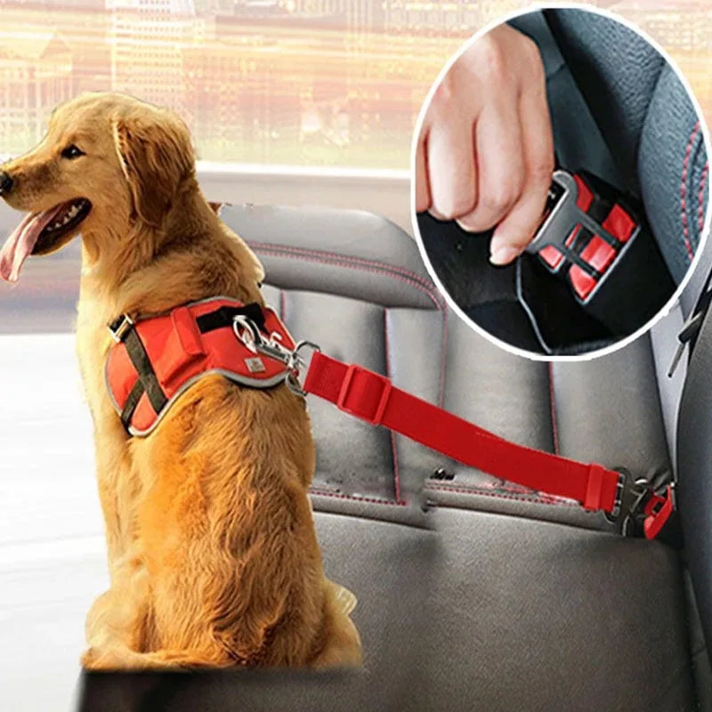 Ceinture de sécurité pour chien pour véhicule