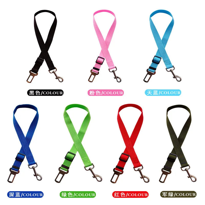 Ceinture de sécurité pour chien pour véhicule